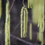 Urheber Socialpictures CH
